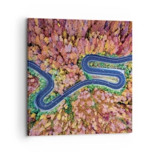 Obraz na plátne - Kľukatá cesta lesom - 70x70 cm