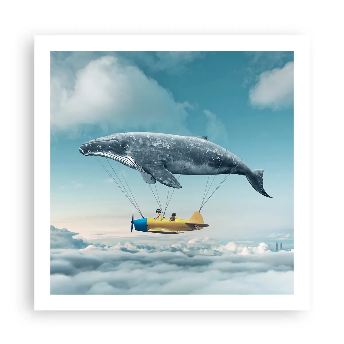 Plagát - Prečo by nie? - 60x60 cm