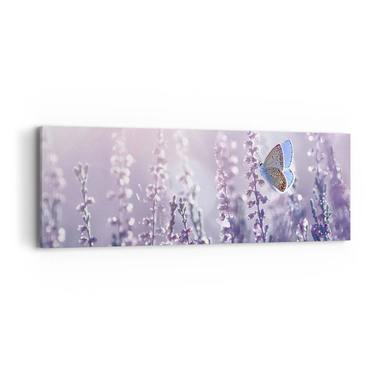 Obraz na plátne - Bozk motýľa - 90x30 cm