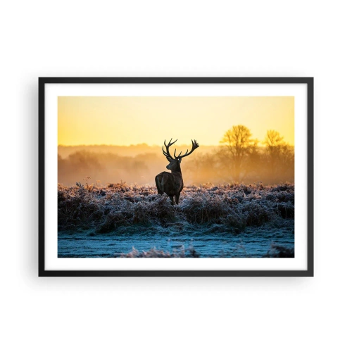 Plagát v čiernom ráme - Korunovaný na svojom panstve - 70x50 cm