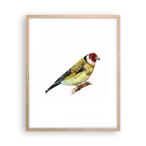 Plagát v ráme zo svetlého duba - Vtáčí portrét - 40x50 cm