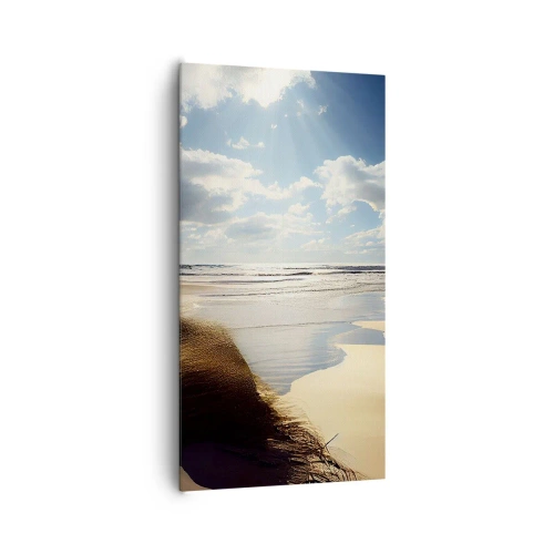 Obraz na plátne - Pláž, divoká pláž - 65x120 cm