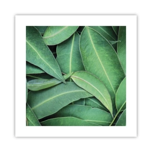 Plagát - Šťavnaté a svieže - 40x40 cm