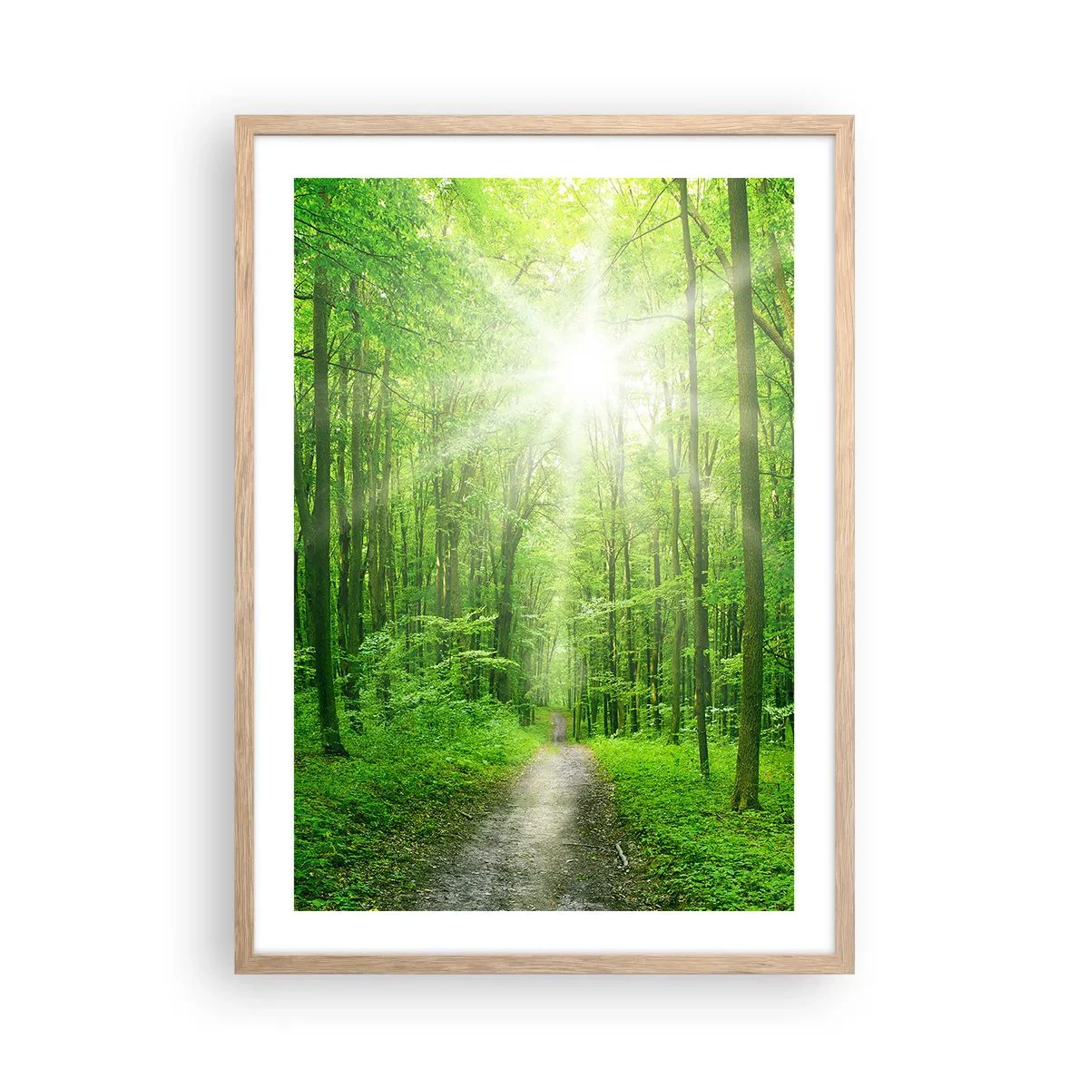 Plagát v ráme zo svetlého duba - Zelená katedrála - 50x70 cm