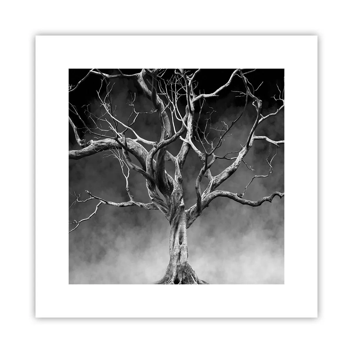 Plagát - Pôvodné a sväté - 30x30 cm