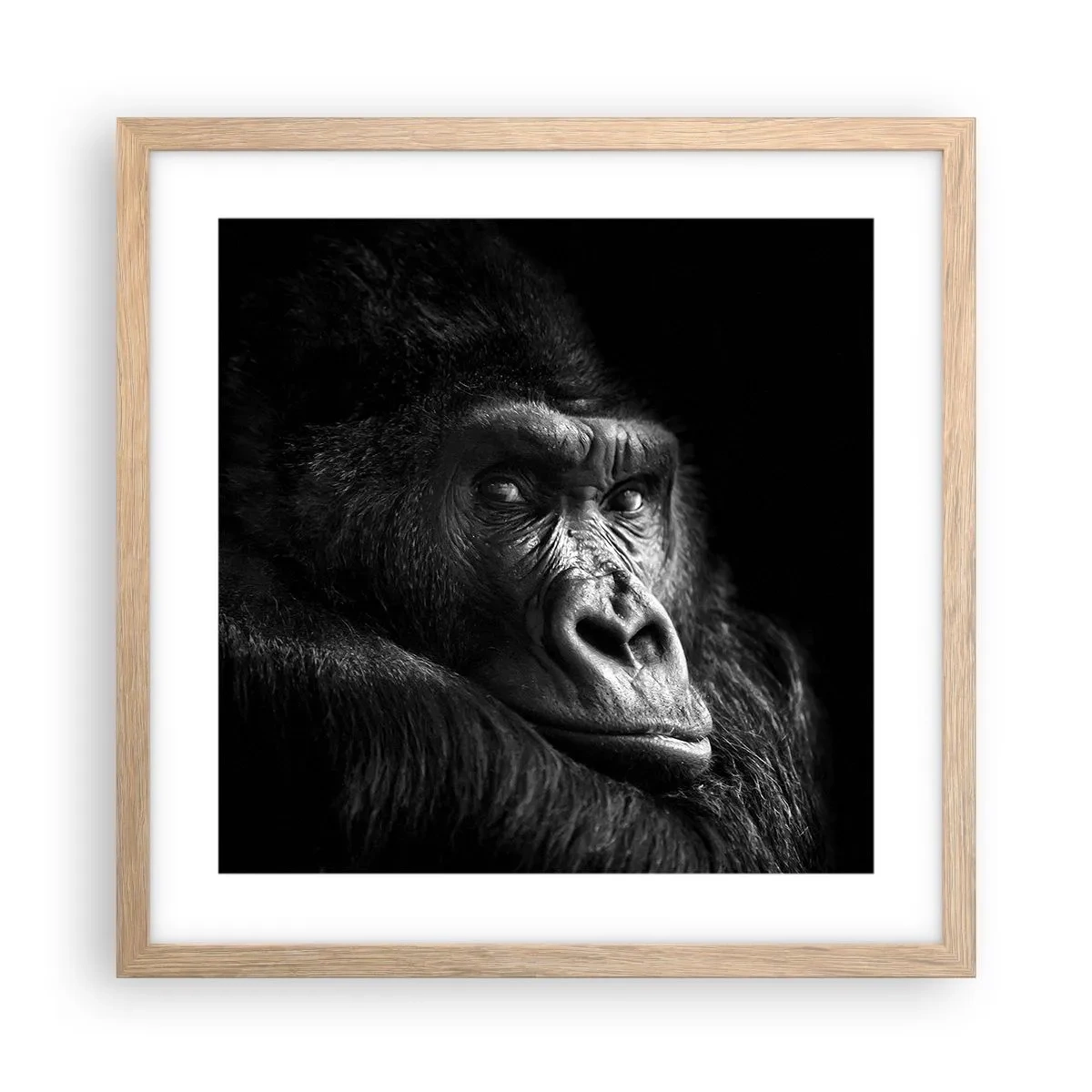 Plagát v ráme zo svetlého duba - Na čo sa tak pozeráš? - 40x40 cm