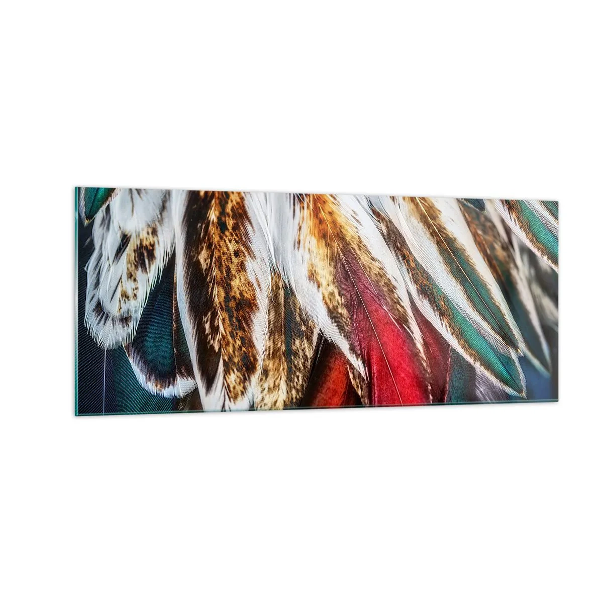 Obraz na skle - Tajomstvo letu - 100x40 cm