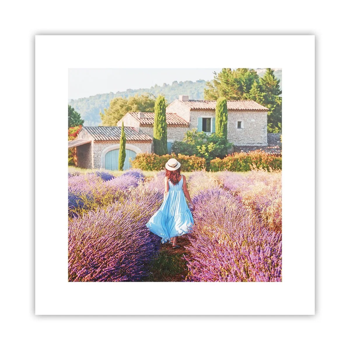 Plagát - Levanduľové dievča - 30x30 cm