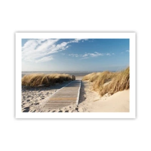 Plagát - Za dunou, v šumení trávy - 70x50 cm