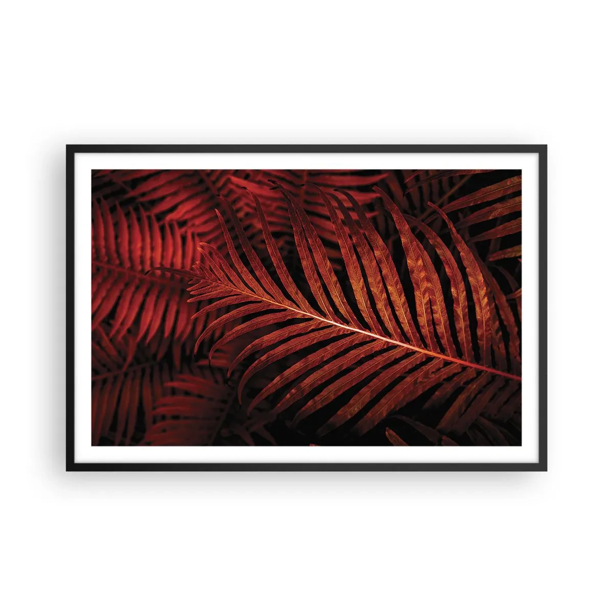 Plagát v čiernom ráme - Žiar života - 91x61 cm