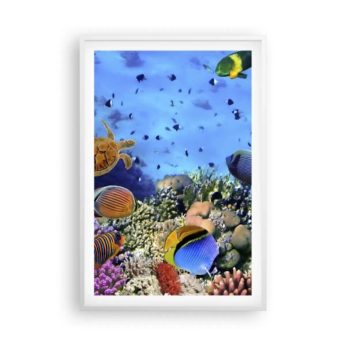 Plagát v bielom ráme - Čo vieme o živote… - 61x91 cm