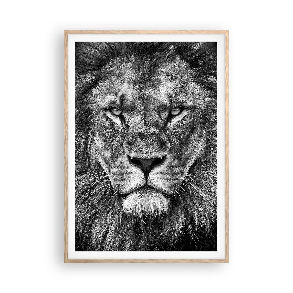 Plagát v ráme zo svetlého duba - V korunovačnom odeve - 70x100 cm