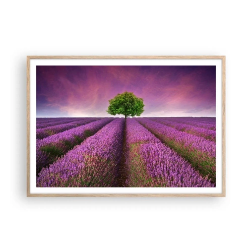 Plagát v ráme zo svetlého duba - Na levanduľových poliach - 100x70 cm