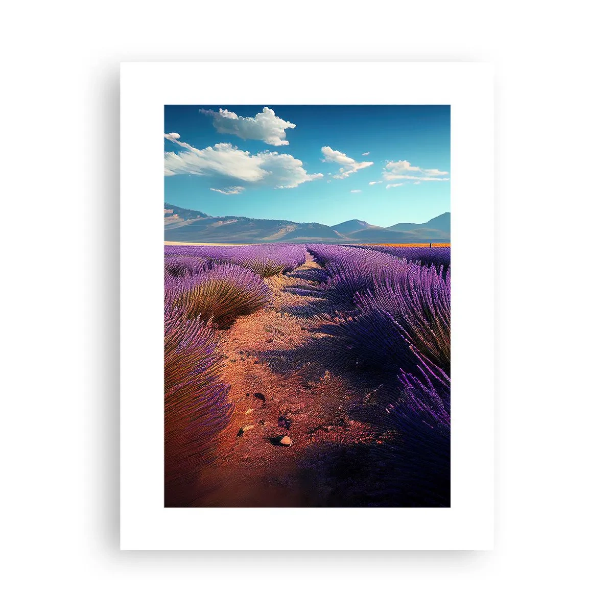 Plagát - Voňavé polia - 30x40 cm