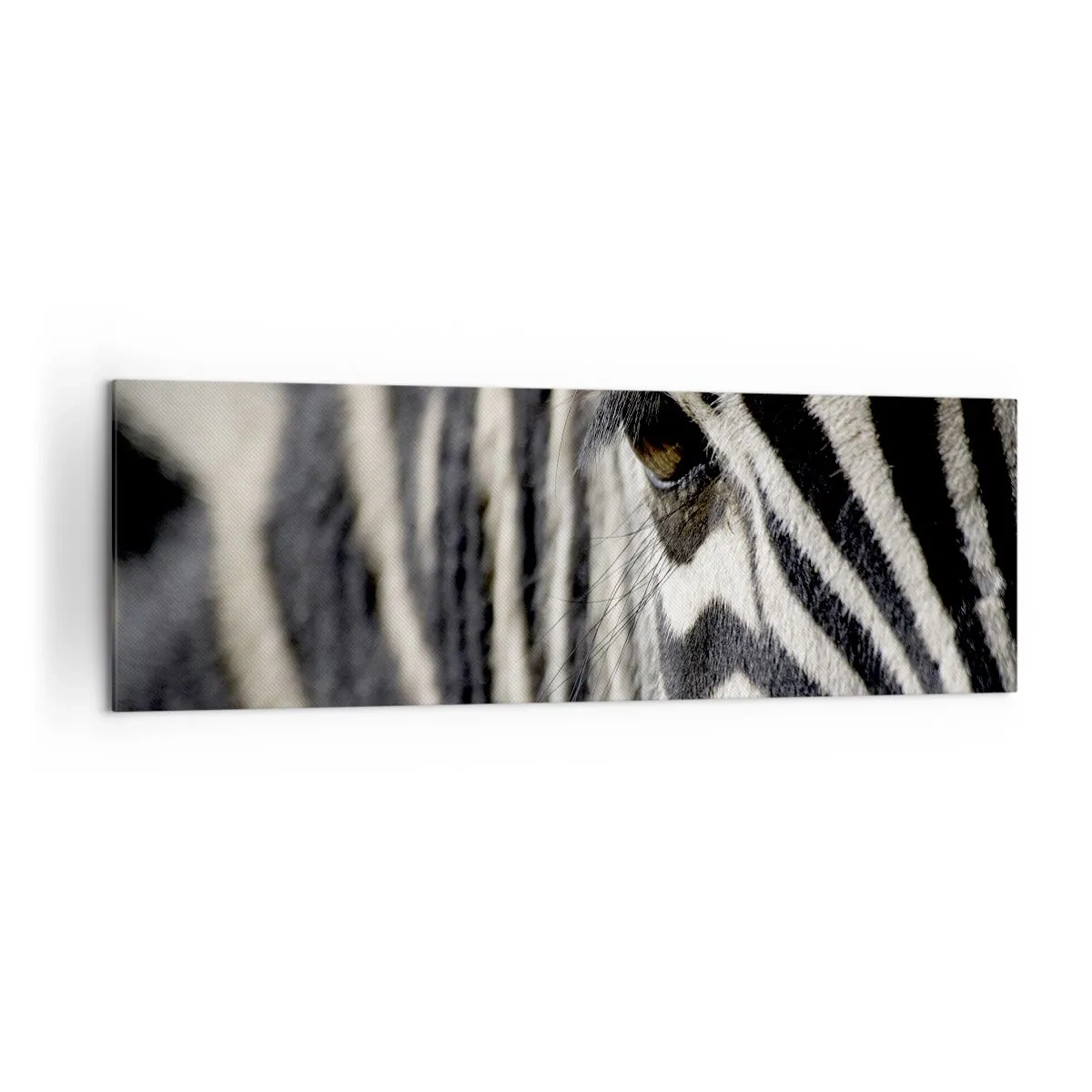 Obraz na plátne - Portrét s pruhmi - 160x50 cm