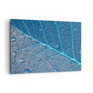 Obraz na plátne - Modrý život - 100x70 cm
