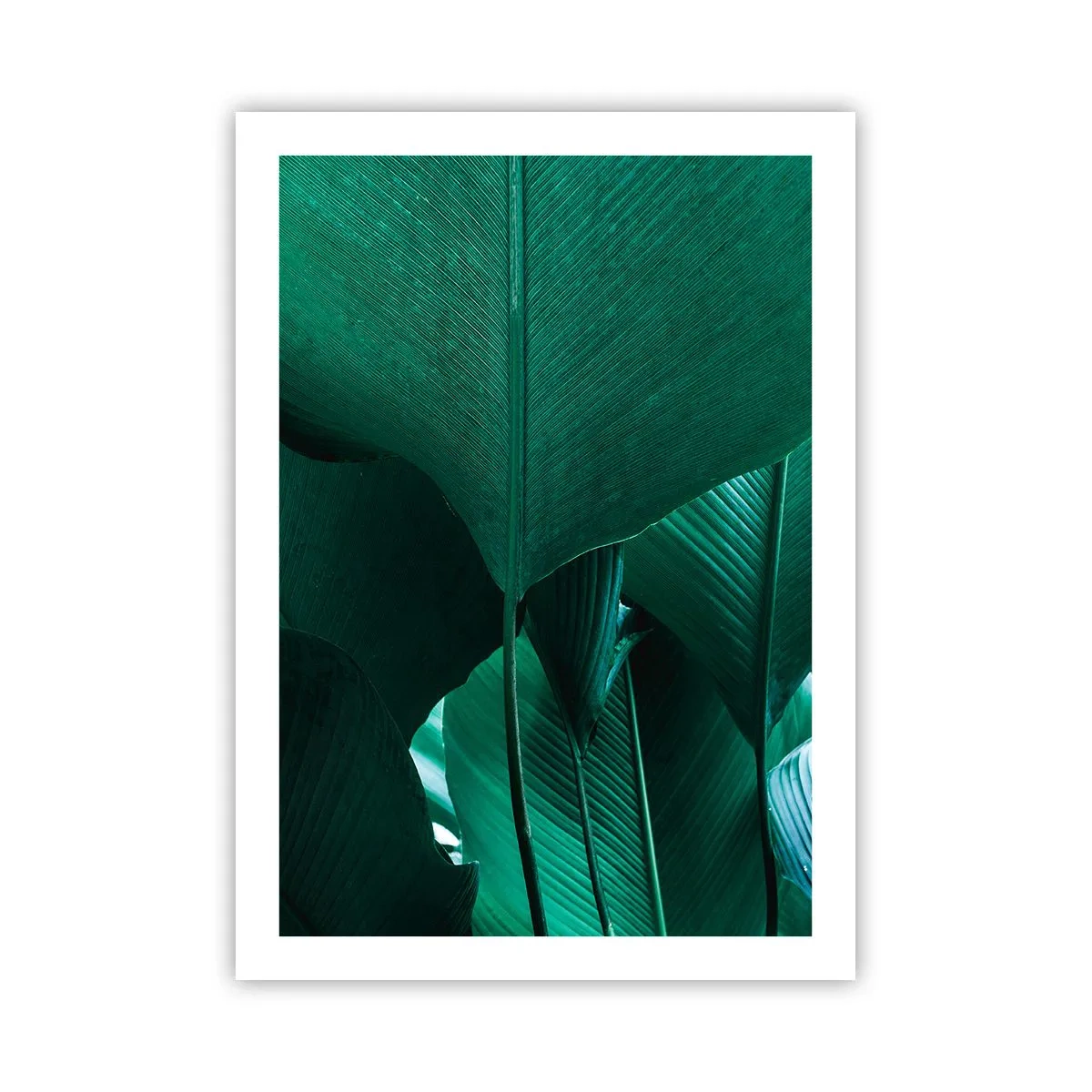 Plagát - Obrátené k svetlu - 50x70 cm