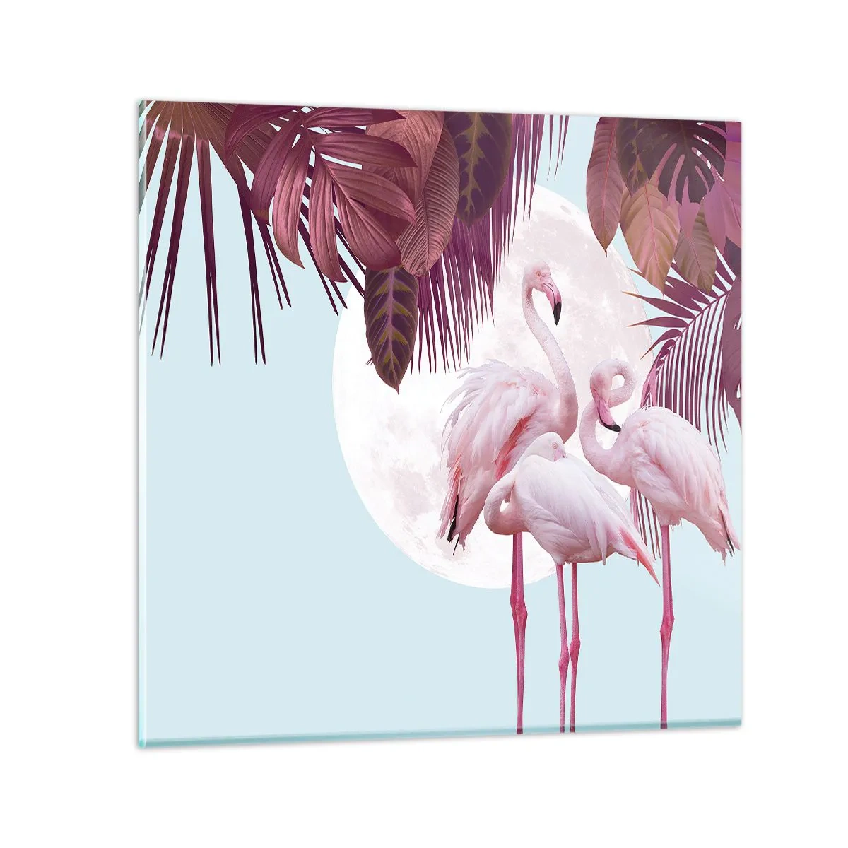 Obraz na skle - Tri vtáčie grácie - 50x50 cm