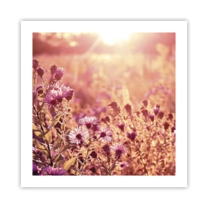 Plagát - Než skončí leto - 50x50 cm