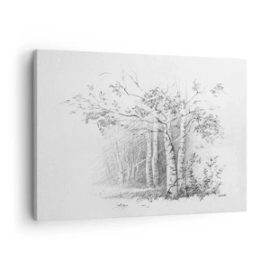 Obraz na plátne - Kresba brezového lesa jemnou ceruzkou - 70x50cm - Svetlo brezového lesa - Moderná nástenná dekorácia do obývacej izby a spálne ARTTOR