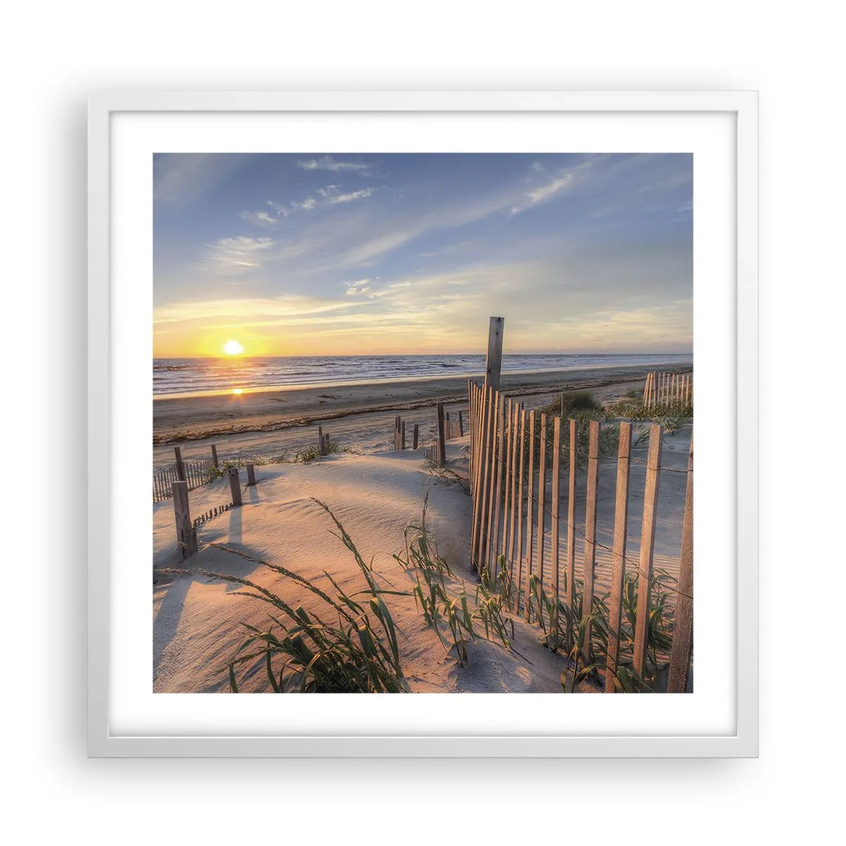 Plagát v bielom ráme - Odlesk a tieň vetra - 50x50 cm