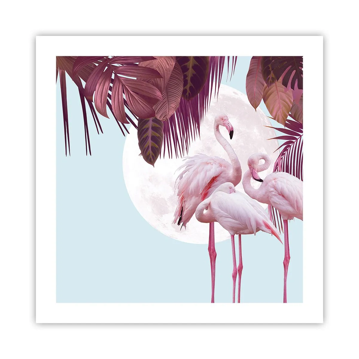 Plagát - Tri vtáčie grácie - 50x50 cm