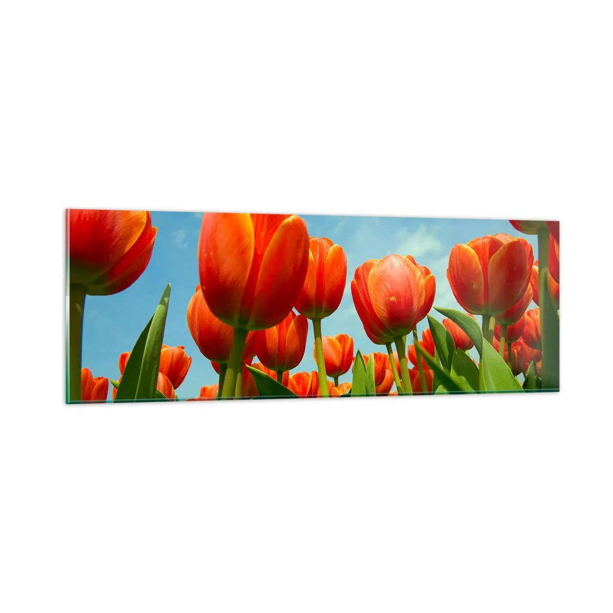 Obraz na skle - Okrem blankytného neba nič v živote nepotrebujú - 90x30 cm