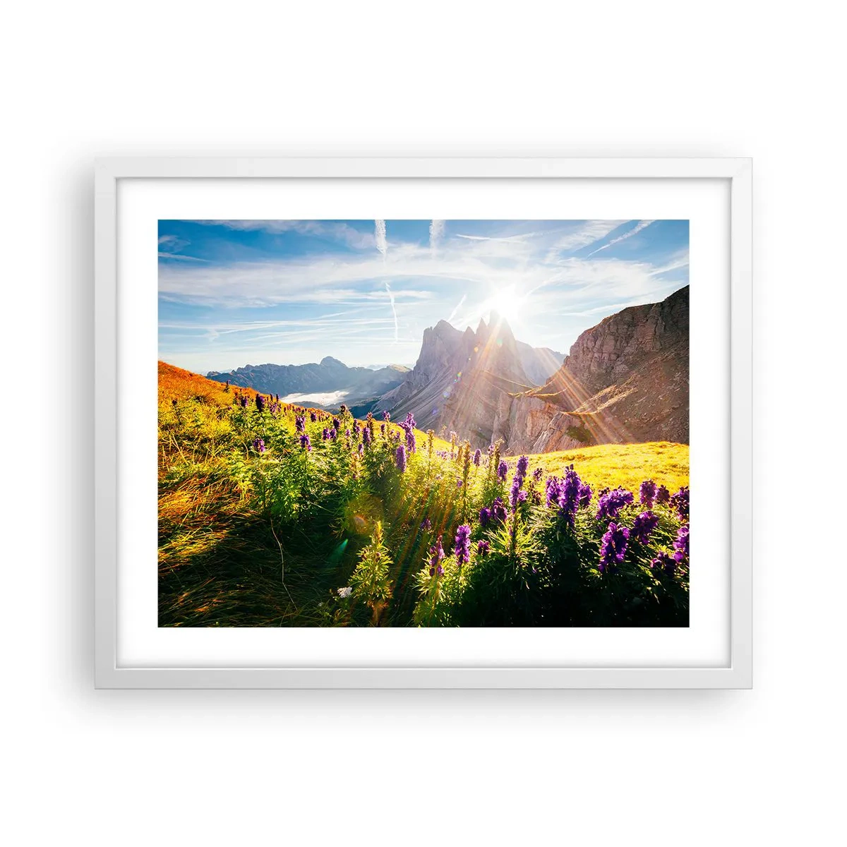 Plagát v bielom ráme - Tajomný život bylín - 50x40 cm