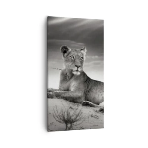 Obraz na plátne - Odpočinok kráľovnej púšte - 55x100 cm