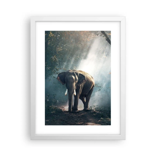 Plagát v bielom ráme - Pokojná prechádzka - 30x40 cm