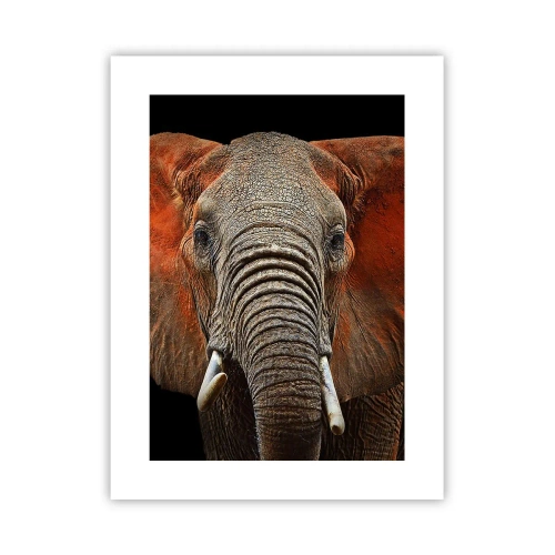 Plagát - Som divoký, a ty? - 30x40 cm