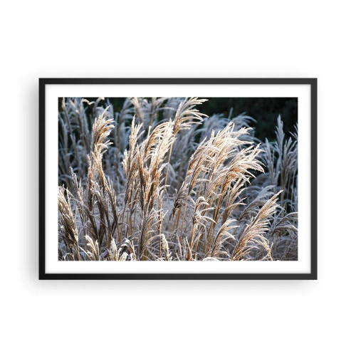 Plagát v čiernom ráme - Mrazom pokryté - 70x50 cm