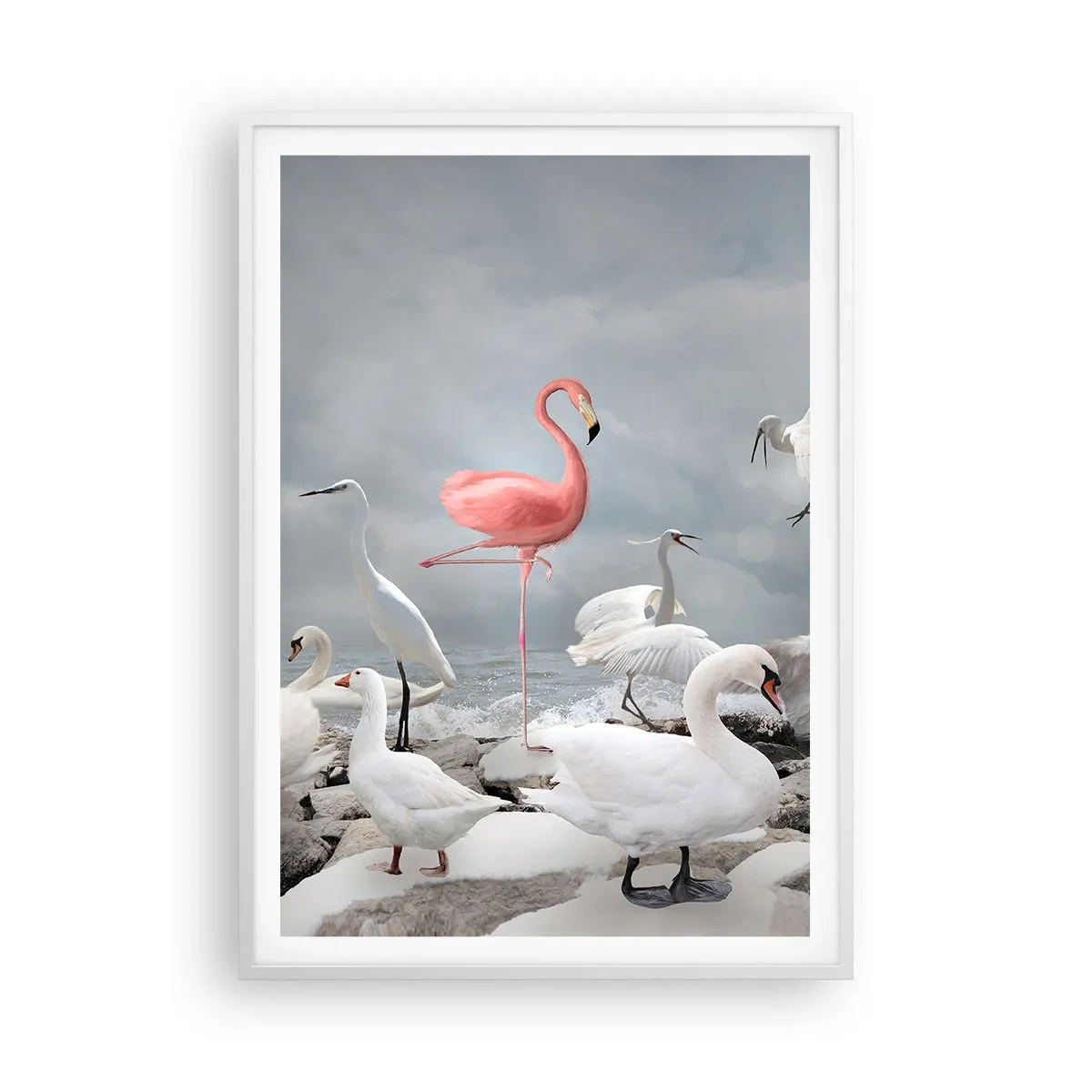 Plagát v bielom ráme - Kde som sa tu vzal? - 70x100 cm