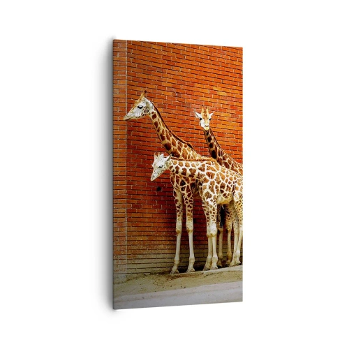 Obraz na plátne - Vidíte nejaký agát? - 65x120 cm