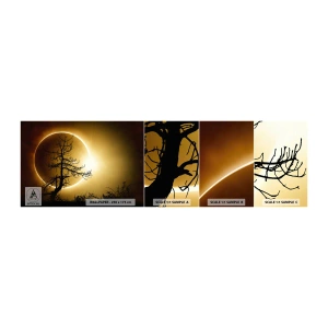 Vzorka samolepiacej fototapety Deluxe Sticker - Úplné zatmenie - Eclipse, Strom, Krajina - 100x30 cm