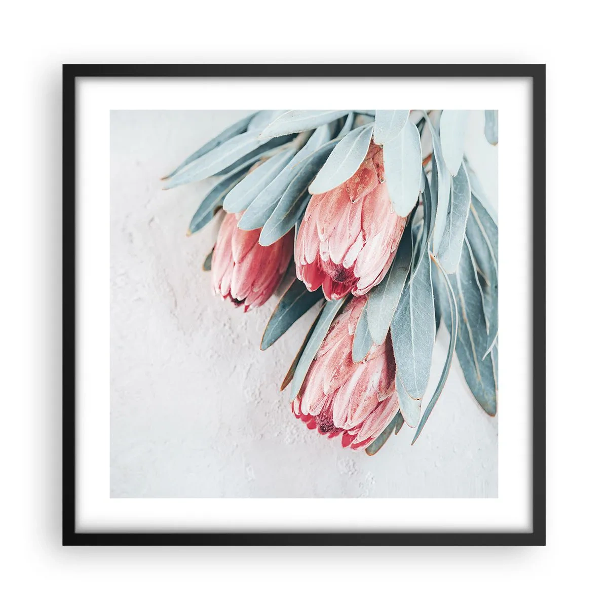 Plagát v čiernom ráme - Zahanbené svojou vlastnou krásou - 50x50 cm