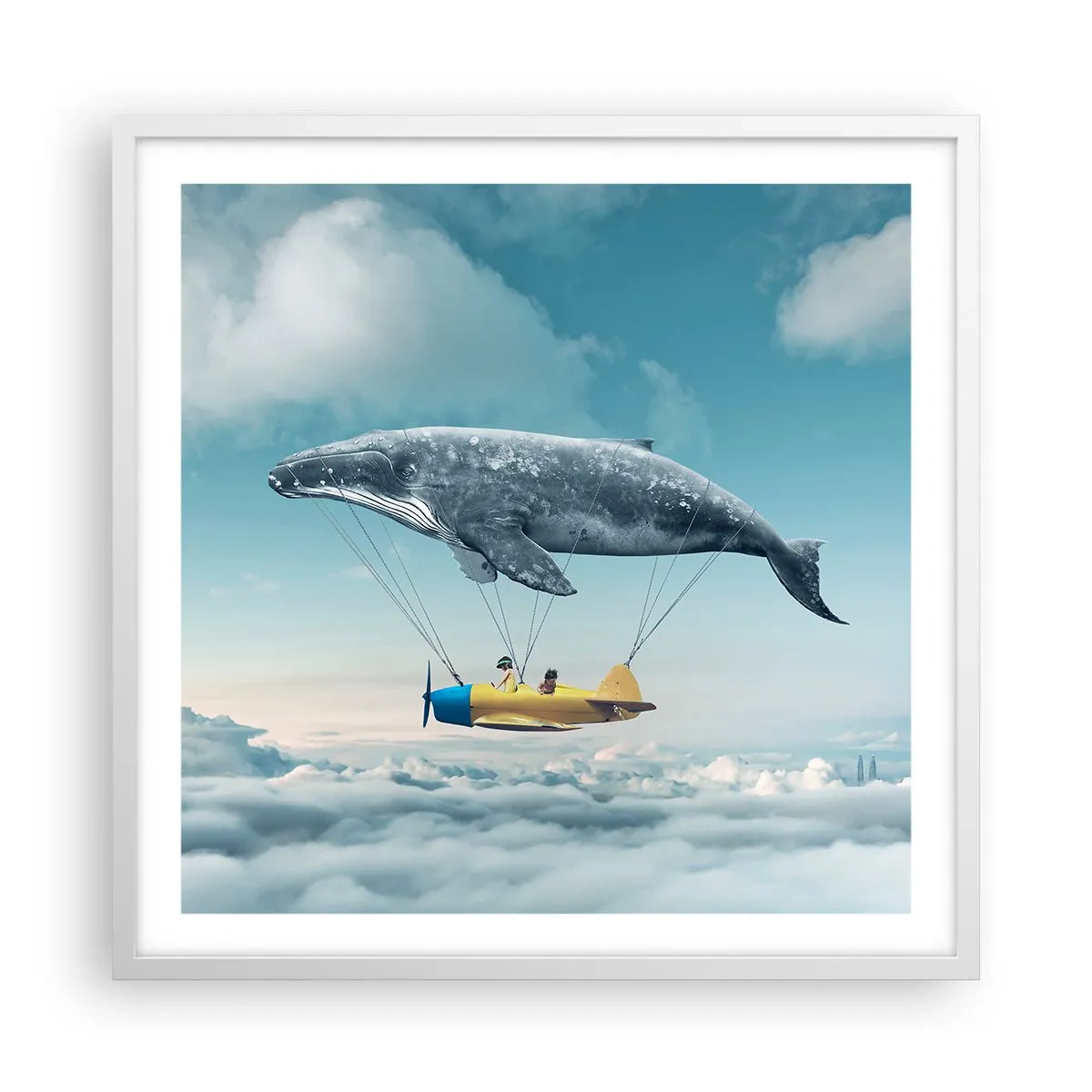 Plagát v bielom ráme - Prečo by nie? - 60x60 cm