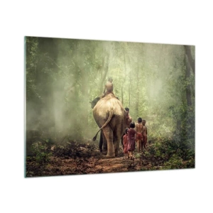 Obraz na skle - Nová Kniha džunglí - 100x70 cm