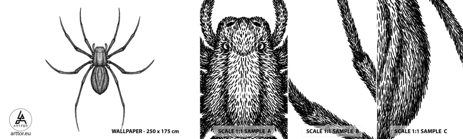 Vzorka Fototapeta Standard Eco - Znepokojivá presnosť - Pavúk, Hmyz, Minimalistický - 100x30 cm
