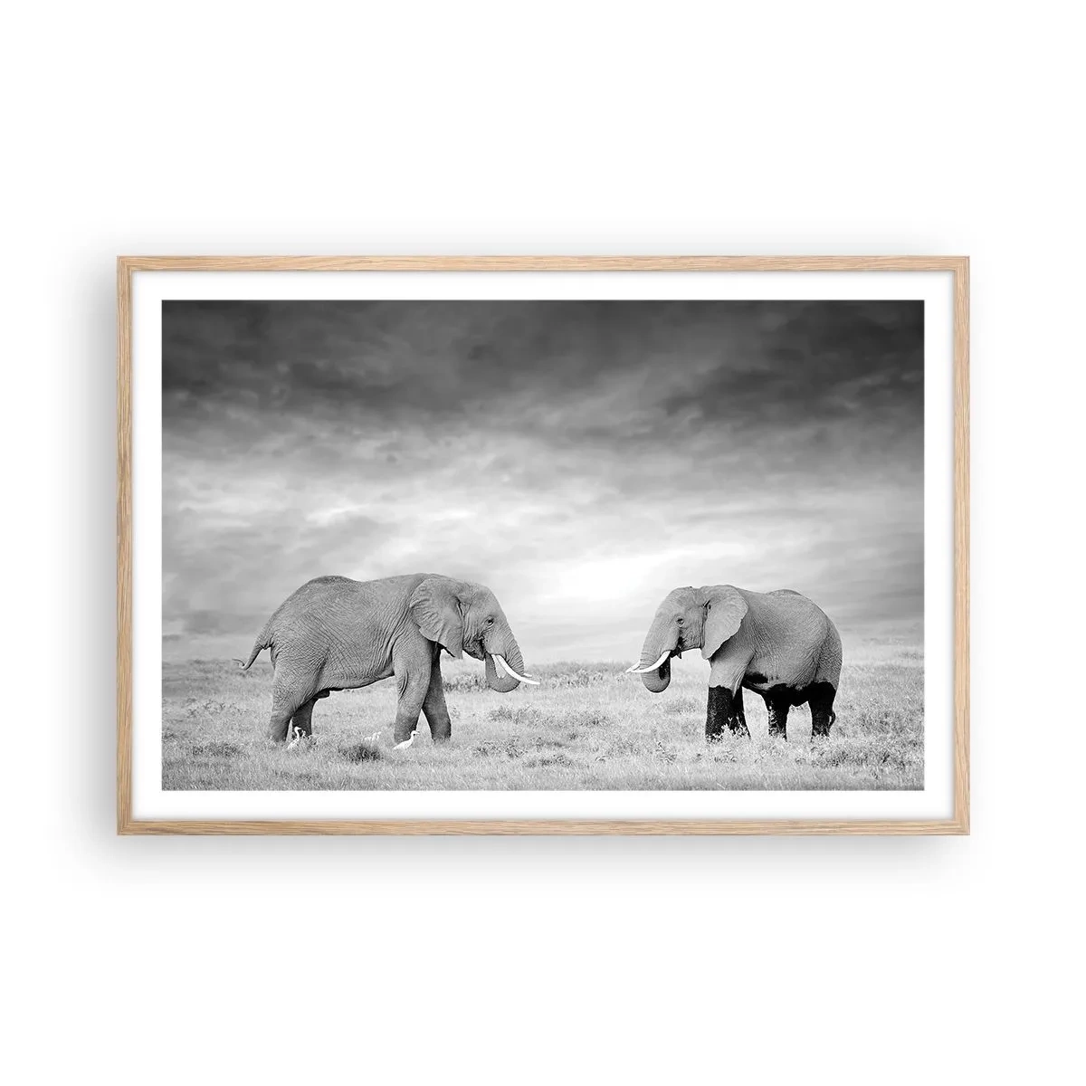 Plagát v ráme zo svetlého duba - Šedá je krásna - 91x61 cm