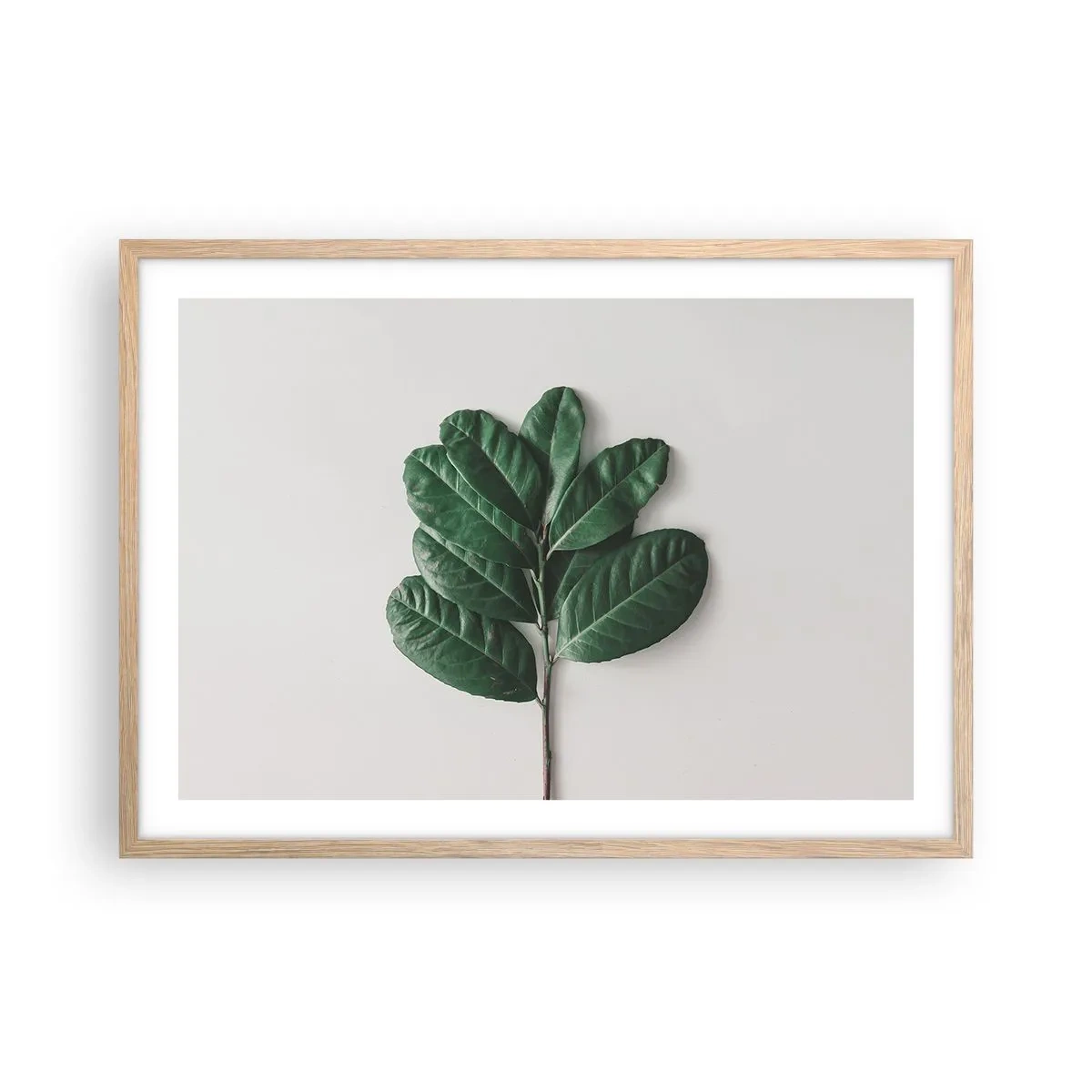 Plagát v ráme zo svetlého duba - Kresba samotnej prírody - 70x50 cm