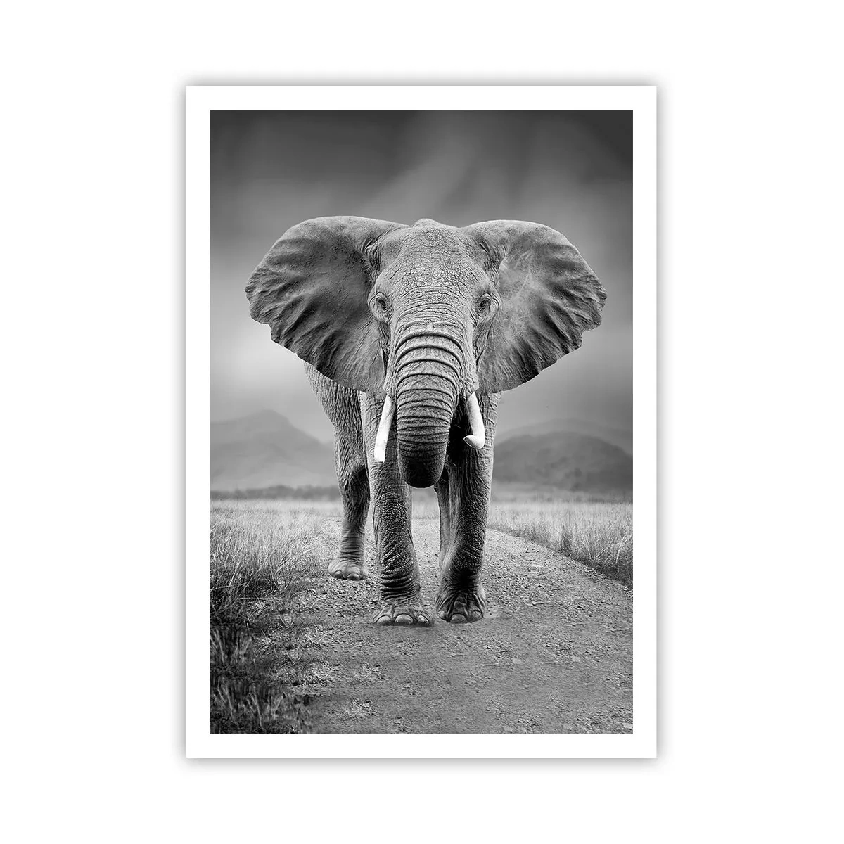 Plagát - Hostiteľ víta - 70x100 cm