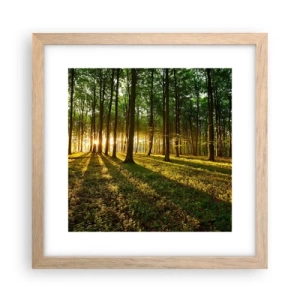 Plagát v ráme zo svetlého duba - Fotografie všetkých jarí - 30x30 cm