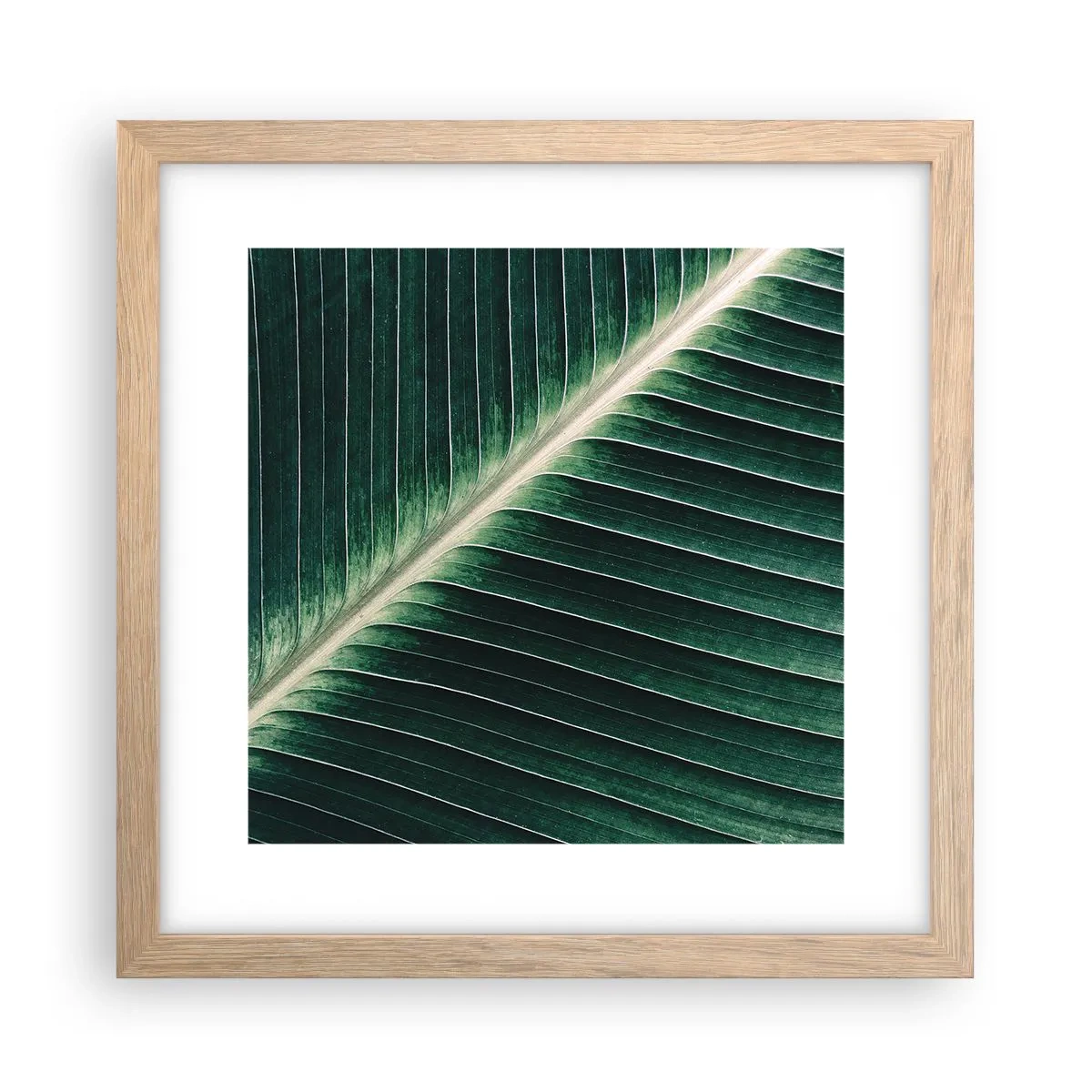 Plagát v ráme zo svetlého duba - Rytmus prírody - 30x30 cm