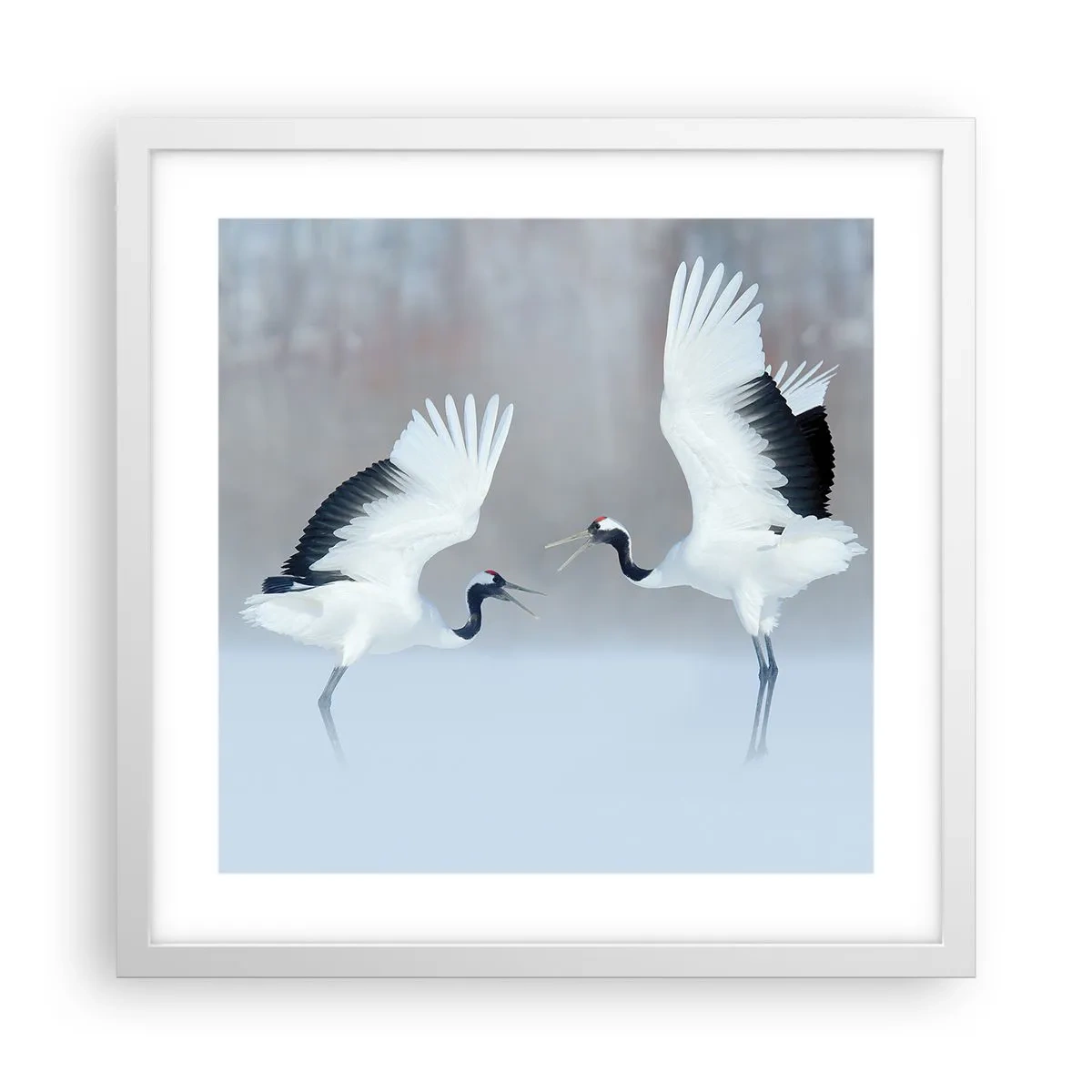 Plagát v bielom ráme - Tanec v hmle - 40x40 cm