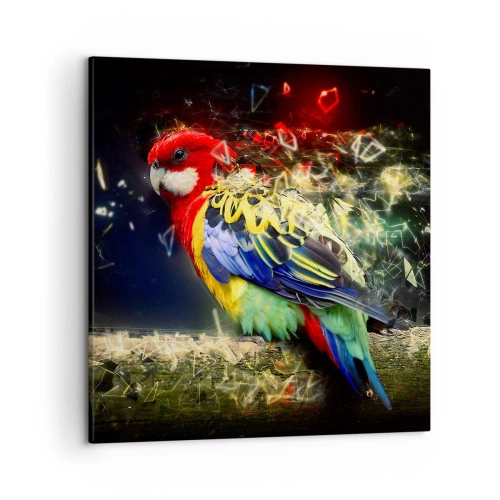 Obraz na plátne - Posol žiary - 50x50 cm