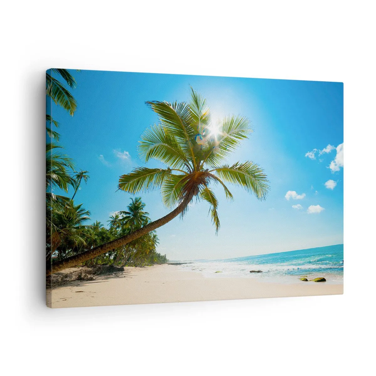Obraz na plátne - Pláž s palmami v tropickej krajine - 70x50cm - Nikomu neukazovať - Moderná nástenná dekorácia do obývacej izby a spálne ARTTOR