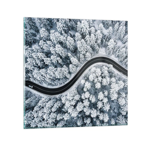 Obraz na skle - Zimným lesom - 30x30 cm