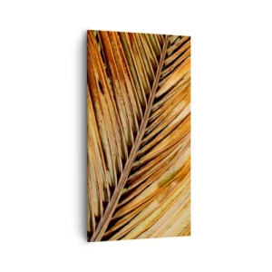 Obraz na plátne - Kokosové zlato - 55x100 cm