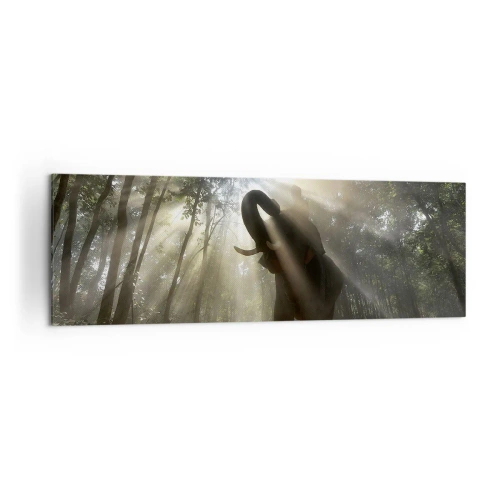 Obraz na plátne - Pod šťastnou hviezdou - 160x50 cm
